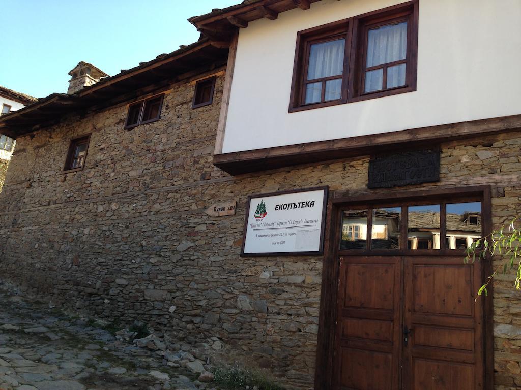 Ristevata Guest House Kovacsevica Kültér fotó